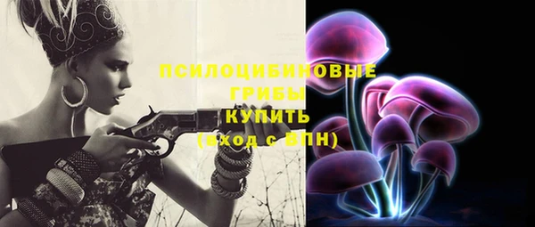 эйфоретик Балахна