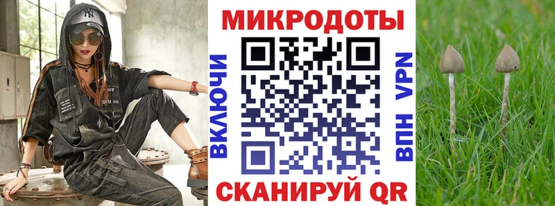 Галлюциногенные грибы Cubensis  как найти закладки  Лесосибирск 
